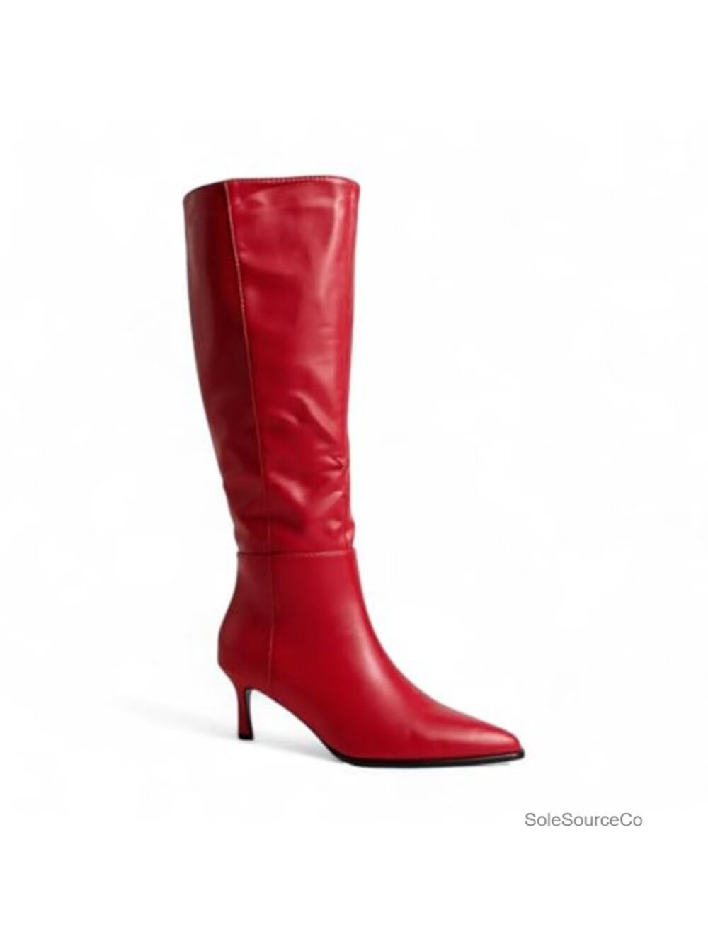 Pointed Toe Knee-High Kitten Heel Boots with Side Zipper